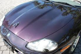 Image result for Amananth Purple 1998 Jaguar