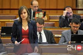 Image result for dúró dóra