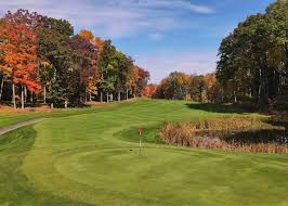 Image result for Fox Gc