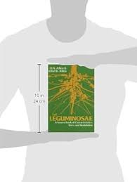 Attēlu rezultāti vaicājumam “Leguminosae”