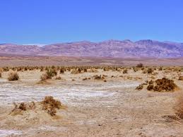 Image result for Dearne Valley Devils