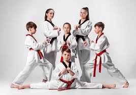 Image result for Thames Valley Karate