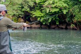 Image result for Reigate & District Angling Association