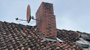 Attēlu rezultāti vaicājumam “Lycogala persicum young”