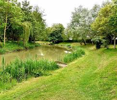 Image result for Becmain Angling Society