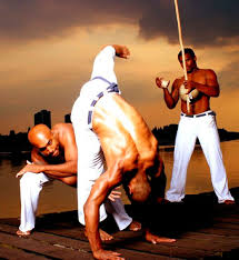 Image result for Brazilian-martial arts