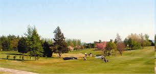 Image result for Carrickfergus Golf Club