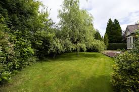 Image result for Westermains Bowling Club