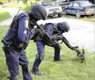 criminal cat images