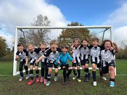 Image result for Molesey Juniors Football Club