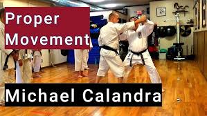 Image result for Imi Jishin Ryou karate do