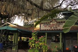 Image result for Enzian