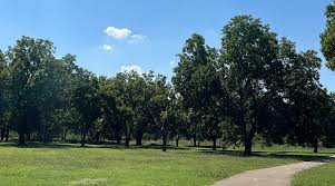 Image result for Mosspark Bowling Club