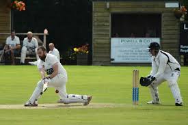 Image result for Luctonians Cricket Club