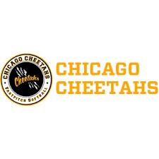 Image result for Cheetahs Softball Team