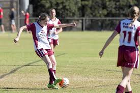 Image result for Warwick Wolves