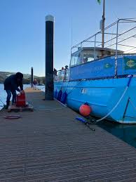 Image result for The Island Cruising Club Limited