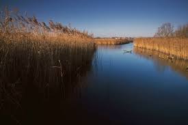 Image result for Weymouth Angling Society