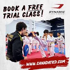 Image result for Cornwall Tae Kwon-Do