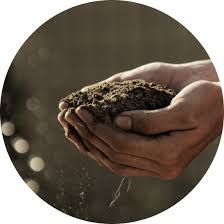 Image result for apupy