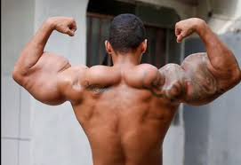 Image result for SYNTHOL