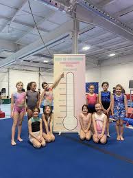 Image result for Kingston Gymnastics