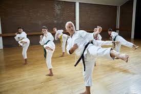 Image result for Parkgate Taekwondo Club