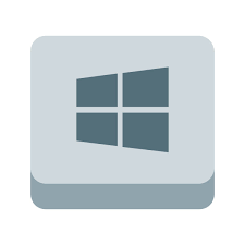 Image result for Windows key