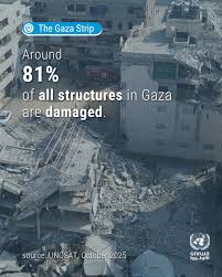 Image result for gaza
