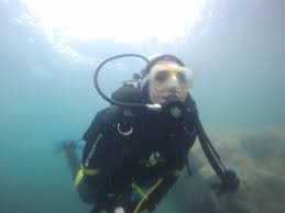 Image result for Torbay Sub-Aqua Club