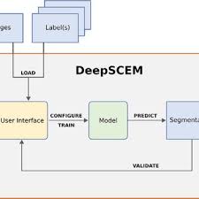 Attēlu rezultāti vaicājumam “Badhamiopsis macrospora spores”