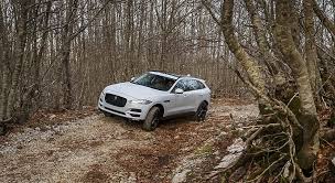 Image result for Glacier 2017 Jaguar