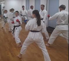 Image result for Devonport Shotokan Karate Club