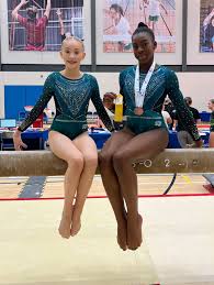Image result for West Lothian Artistic Gymnastic Club