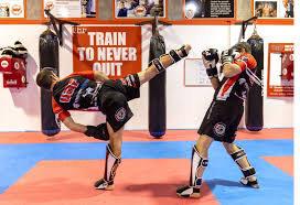 Image result for Kung Fu Wing Chun Club - University of Birmingham Sport