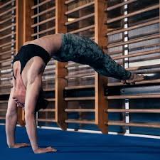 Image result for Vernon Park Gymnastics