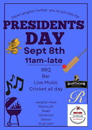 Image result for Yelverton Bohemians Cricket Club