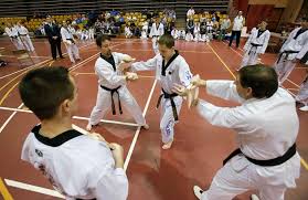 Image result for Ndm Martial Arts
