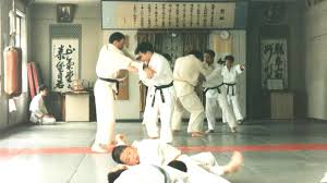 Image result for Yoseikan Budo England