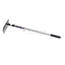 「珠千代」の画像検索結果