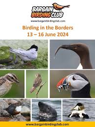 Image result for England Staffordshire Birding Club