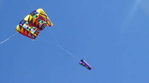 Image result for Baiter Power Kite