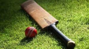 Image result for Minehead Cricket Club