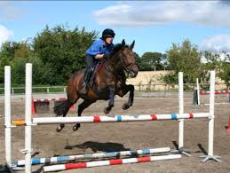 Image result for North Lammermuir Riding Club