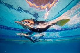 Image result for Swansea Finswimming Club