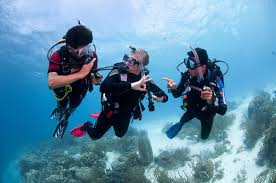 Image result for Manta Divers Sub-Aqua Club