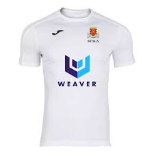 Image result for LITTLE GADDESDEN CRICKET CLUB