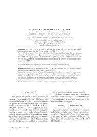 Attēlu rezultāti vaicājumam “Didymium megalosporum macro”