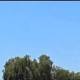 Mysterious Disc-Shaped UFO Photographed while Historian Documents ... - IBTimes.co.uk