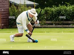 Image result for BUDLEIGH SALTERTON CROQUET CLUB